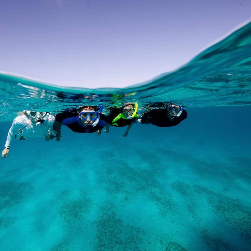 Charter guests from Motor Yacht Loon snorkelling in the Caribbean sea